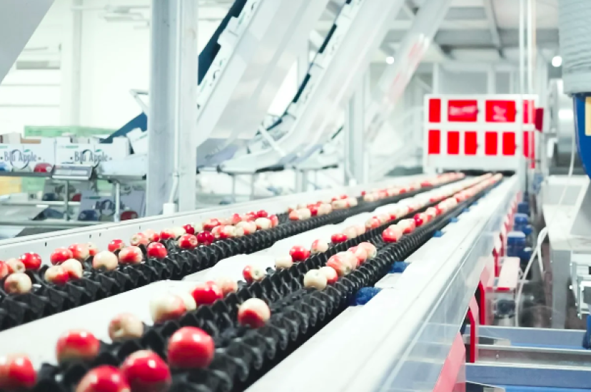 The new spectroscopy approach could help to analyse the spectral data of apple species benefitting industrial processes. (Image: Quadra Machinery) 
