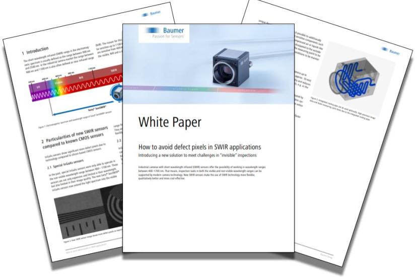 Baumer White Paper