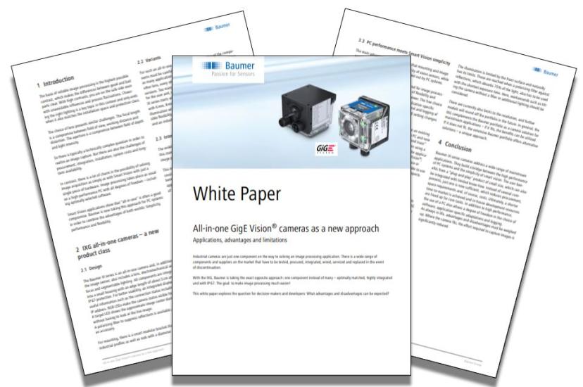 Baumer November White Paper