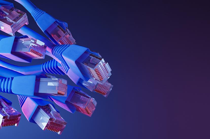 a series of ethernet cables against a purple background