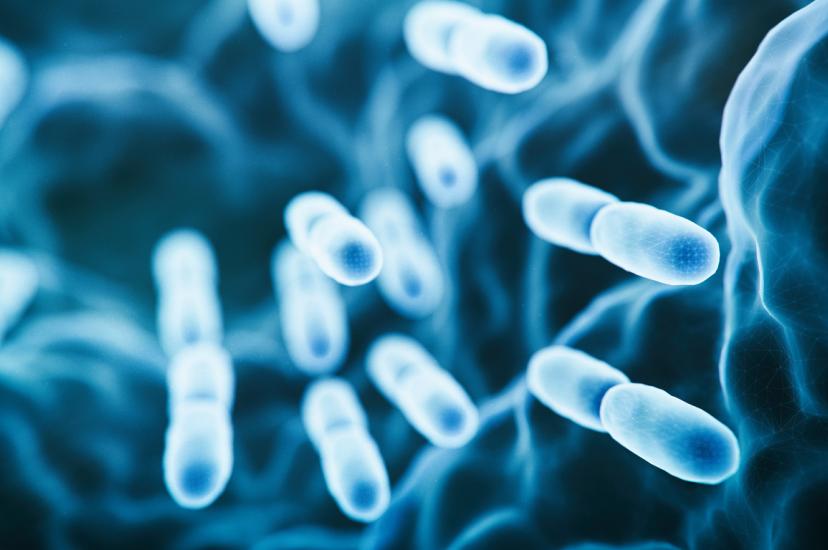 Biomedical hyperspectral imaging