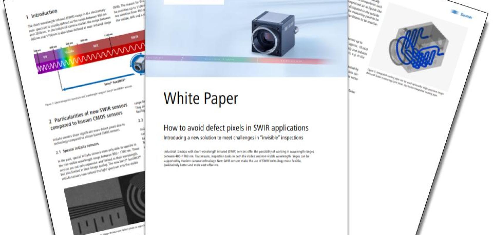 Baumer White Paper