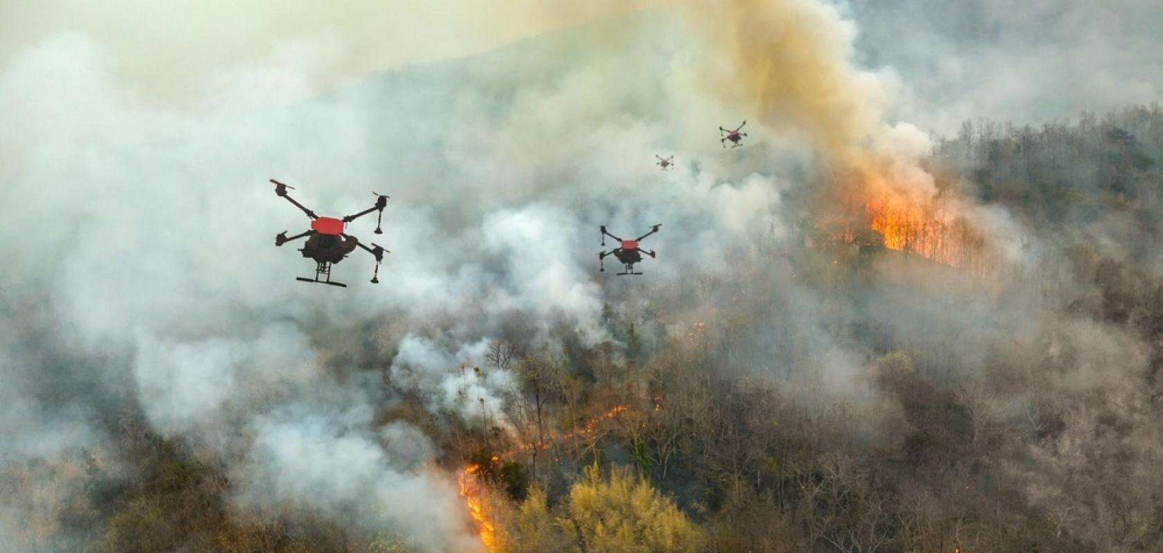 wildfire shutterstock