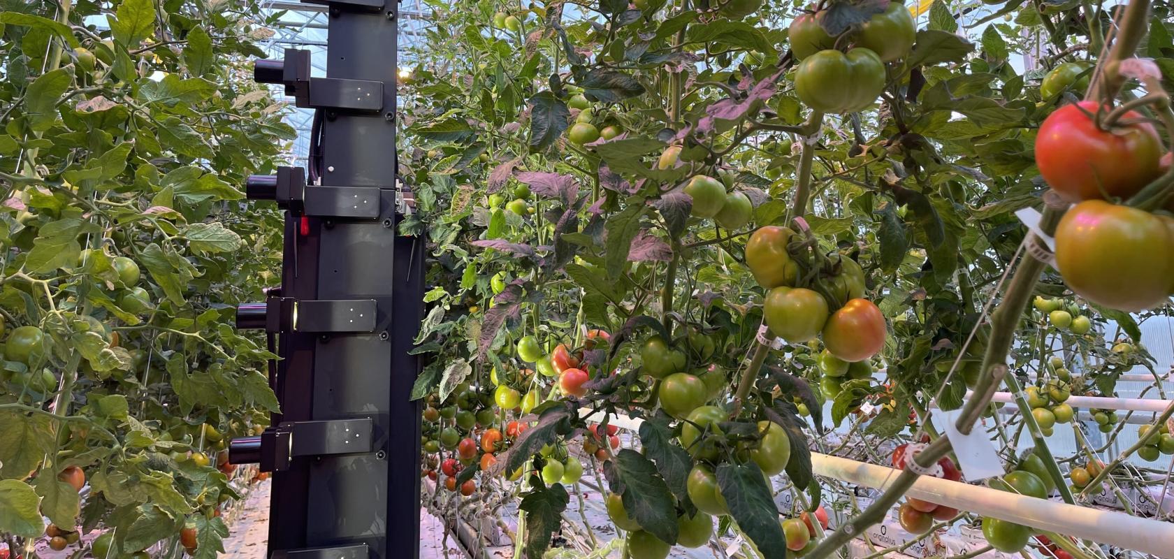 LUNA combines machine vision and AI to future-proof greenhouse operations