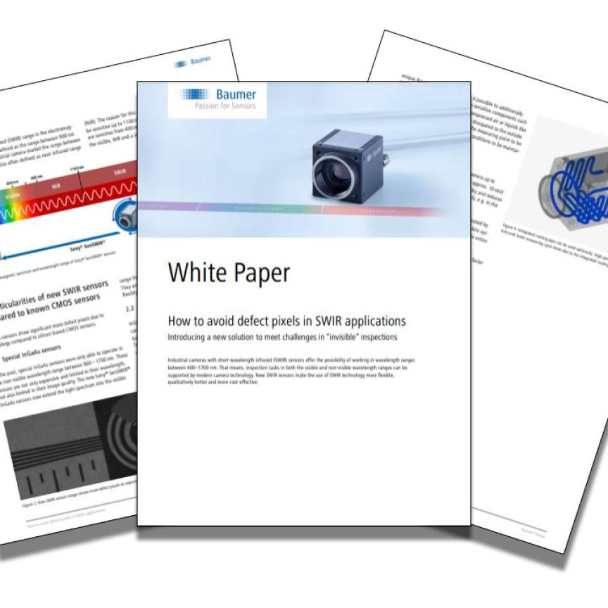 Baumer White Paper