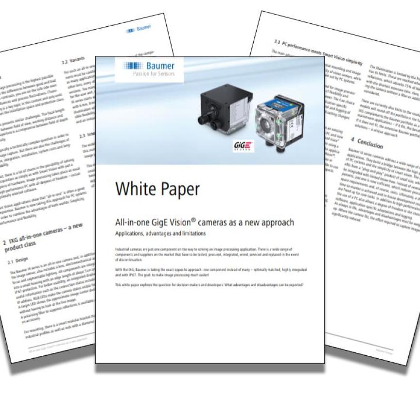 Baumer November White Paper