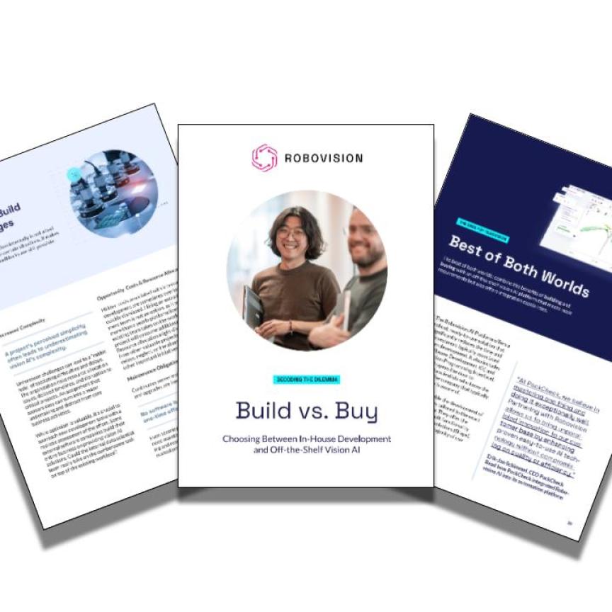 build vs. buy in vision AI